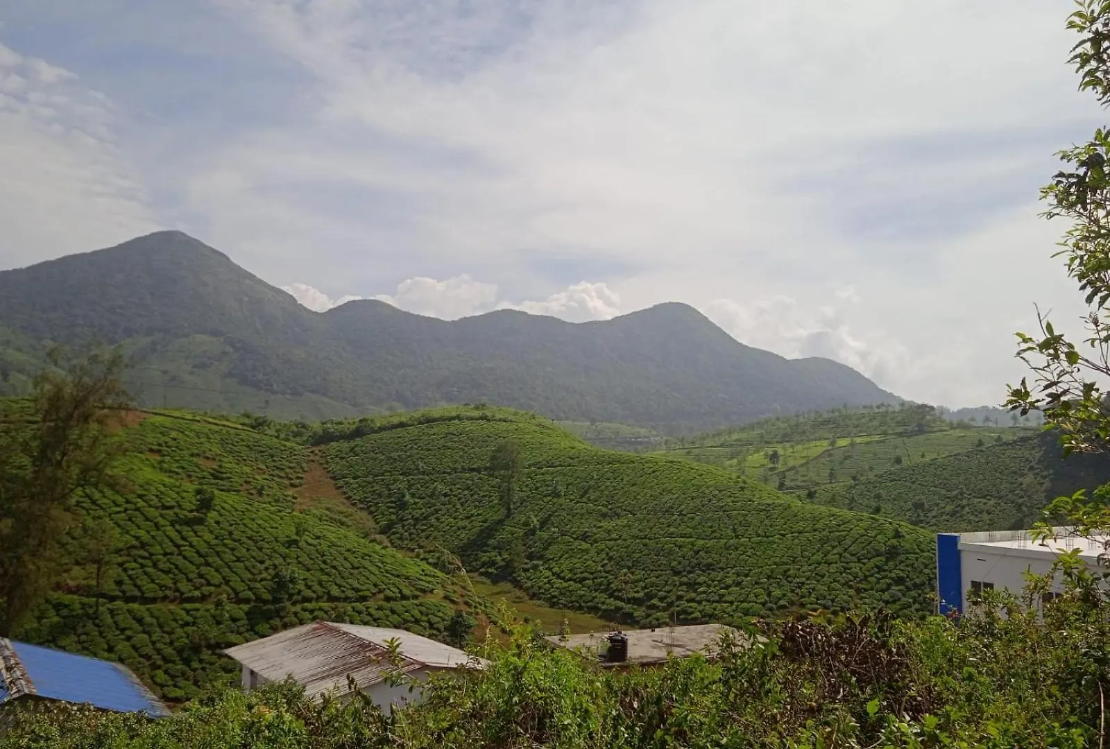 Tea Haven Homestay فاغامون 0*,  الهند