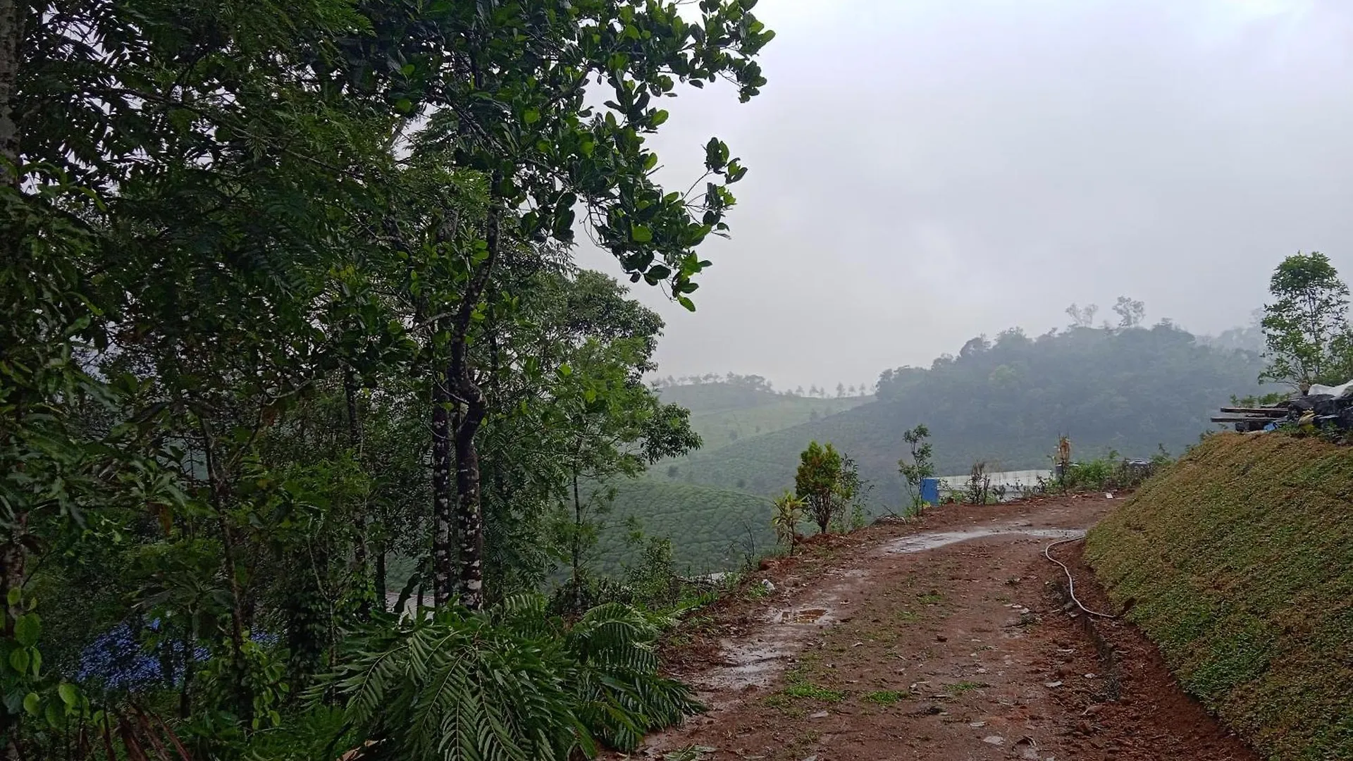Tea Haven Homestay فاغامون 0*,  الهند