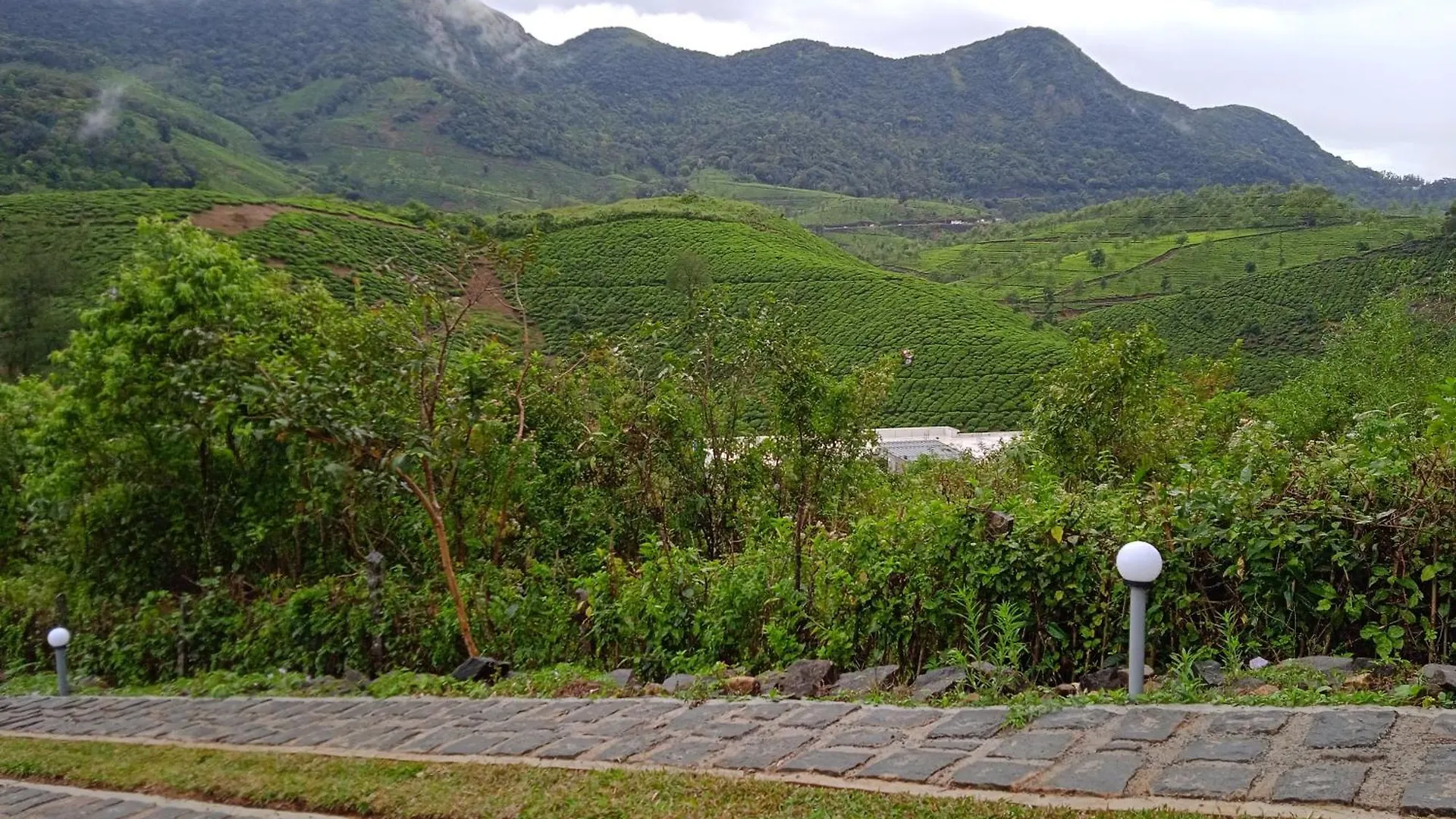 بيت للعطل Tea Haven Homestay فاغامون الهند